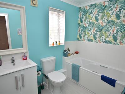 Picture 17